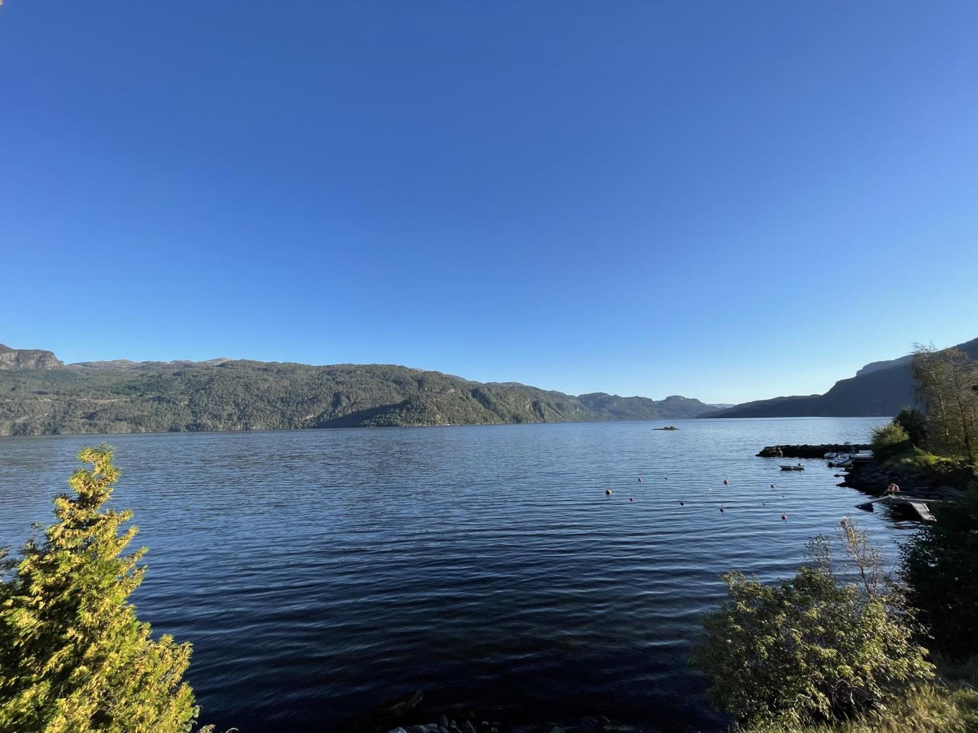 Sauda Fjord Camping Saudasjoen Bagian luar foto
